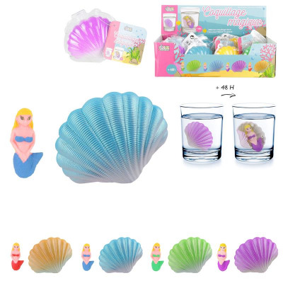 COQUILLE MAGIQUE COLOREE