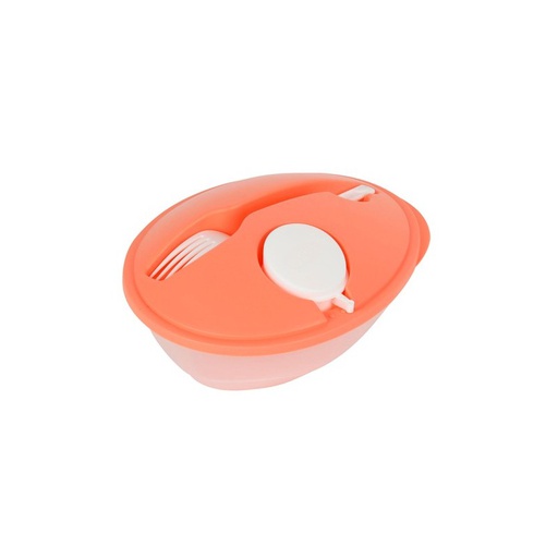 Lunchbox 1 Litre en plastique plus fourchette boite amovible