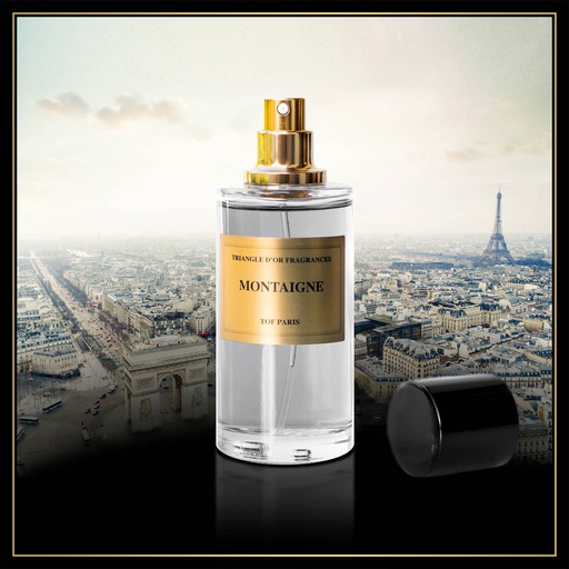 MONTAIGNE TRIANGLE D'OR