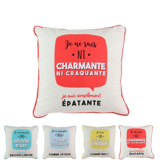 Coussin avec illustration à message