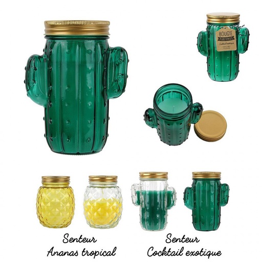 BOUGIE MANSON JAR CACTUS ET ANANAS